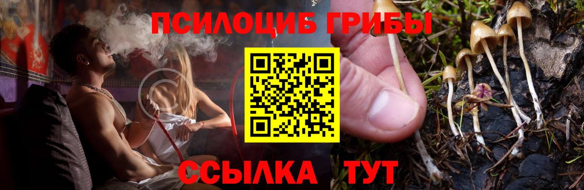 Анжеро-Судженск  Псилоцибиновые грибы MAGIC MUSHROOMS  Вход с VPN 